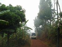 BURUNDI - Up-country safari 6
